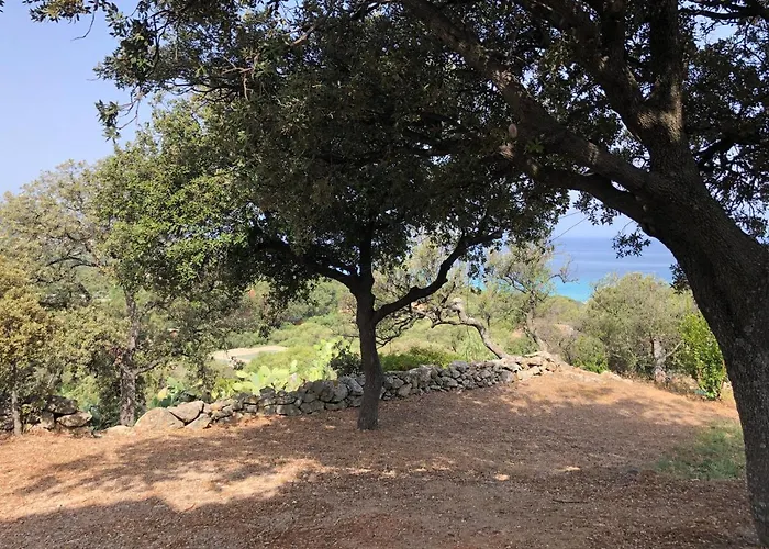 Petite Pause De Fogata - Jolie Vue Appartement Corbara