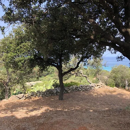 Petite Pause De Fogata - Jolie Vue Διαμέρισμα Corbara